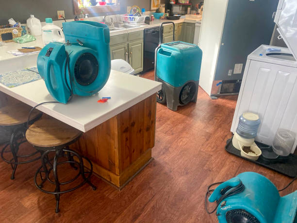 Best Commercial water damage restoration  in Riverside, NY