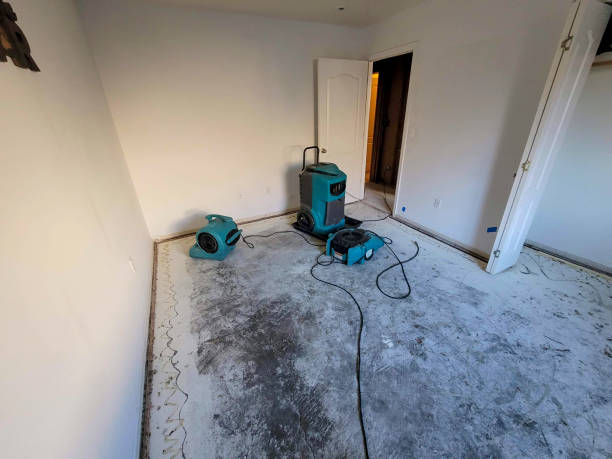 Best 24-hour water damage restoration  in Riverside, NY