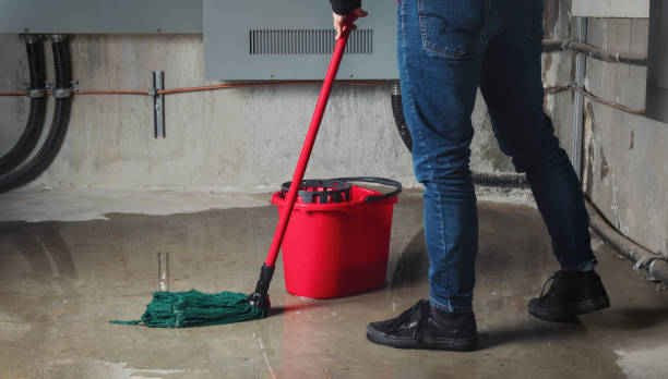 Best Water damage cleanup near me  in Riverside, NY