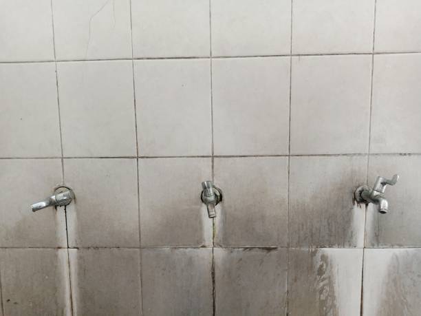 Best Emergency water damage restoration  in Riverside, NY