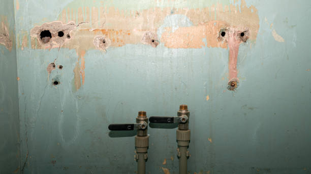 Best Sewage cleanup and water damage restoration  in Riverside, NY