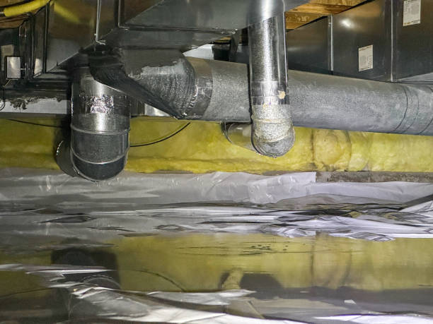 Best Water damage restoration near me  in Riverside, NY