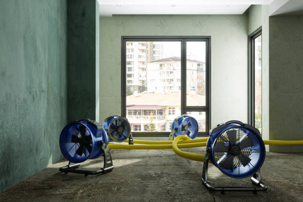 Best Local water damage restoration  in Riverside, NY