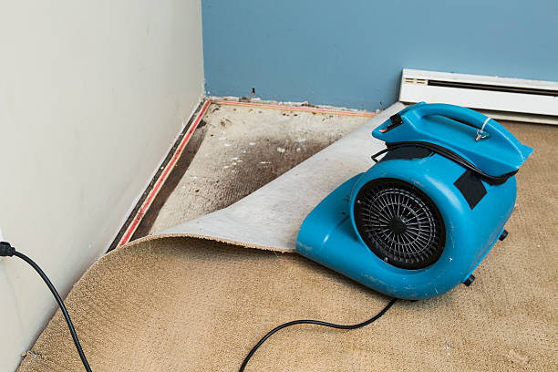 Best Flood restoration services  in Riverside, NY